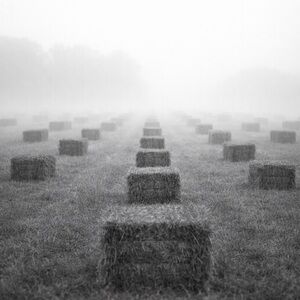 Serene Gray Landscape Photography Print